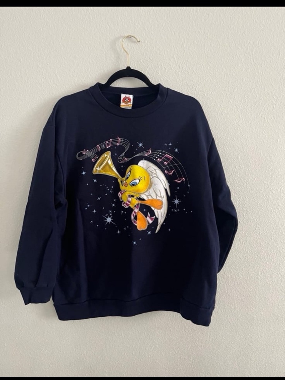 Loony Tunes Tweety bird Graphic Sweatshirt Size 1X 1990 Warner Brothers